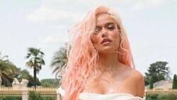 La canción que Karol G rechazó por el contenido de la letra y fue un éxito mundial