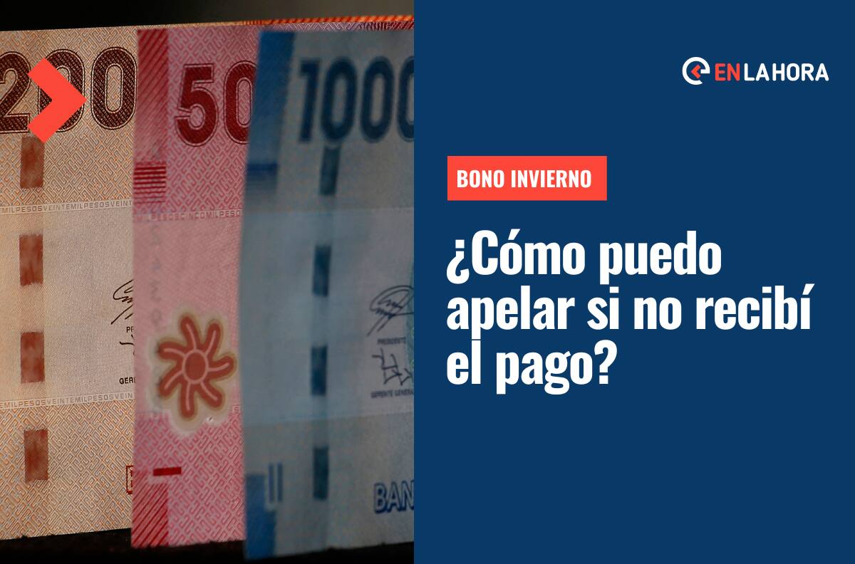 Bono Invierno: Revisa cómo apelar en caso de cumplir con los requisitos, pero no recibiste el pago