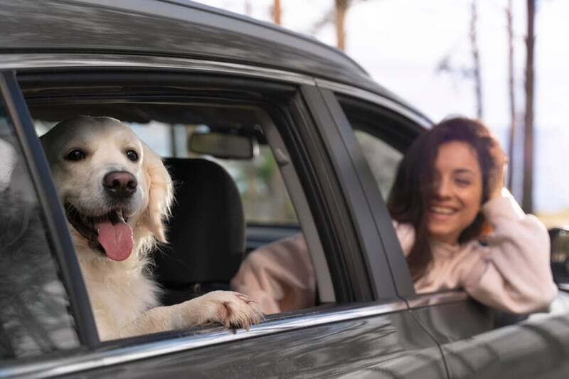 ¿Por qué razón recibiré una multa de $33.000?