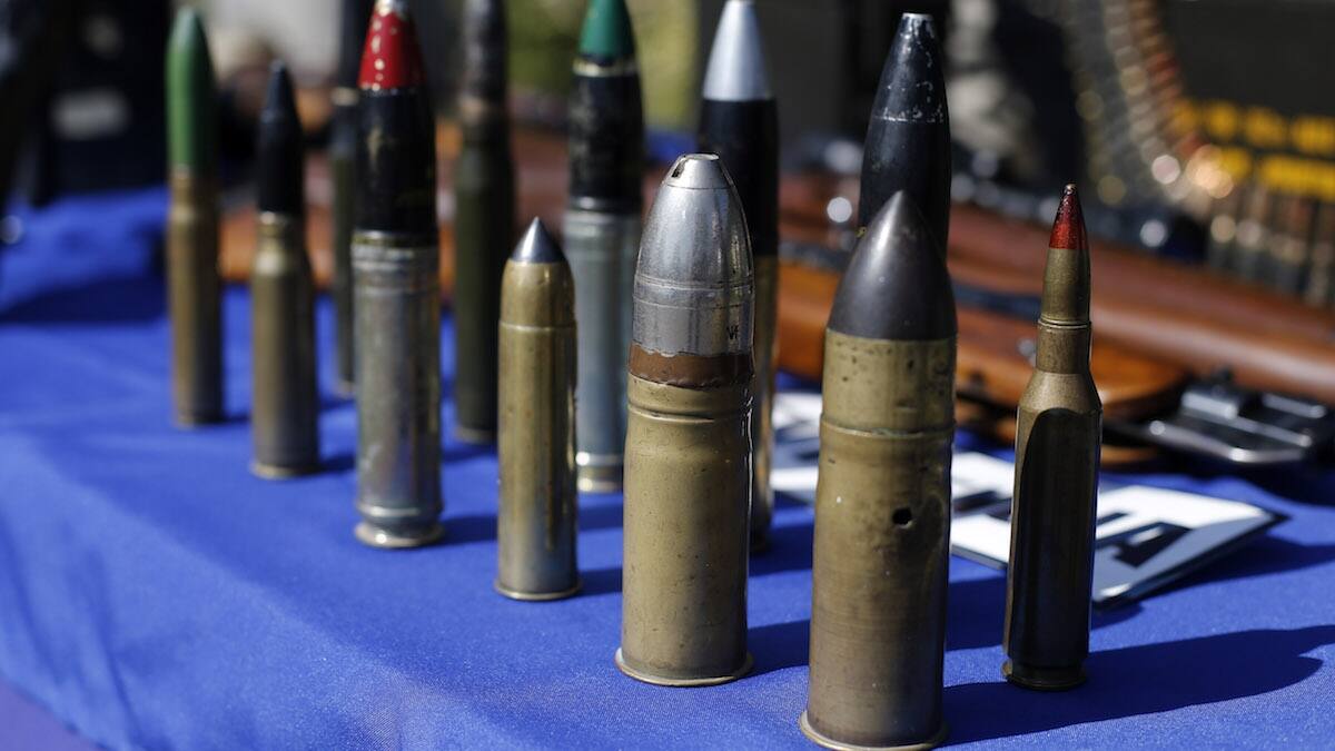 ¿Será buena idea? Partido de Gente busca integrar a la Constitución el derecho a tener armas