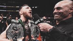 Dana White dijo que Conor McGregor no peleará este año y así respondió “The Notorius”