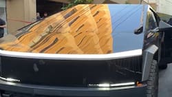 Es sensación en México: ¿Cuánto cuesta la impresionante camioneta Tesla de Igor Lichnovsky?