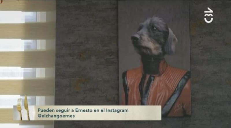 El retrato de Ernesto, el perrito de Yamila Reyna. Créditos: Pantallazo CHV