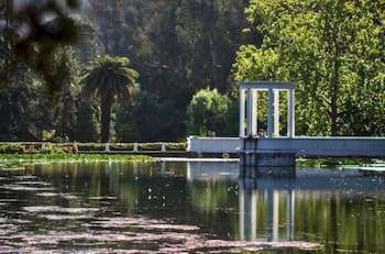 Jardín Botánico Nacional de Viña del Mar: Un panorama clásico para ir en familia en la Región de Valparaíso