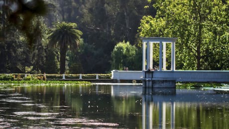 Jardín Botánico Nacional de Viña del Mar: Un panorama clásico para ir en familia en la Región de Valparaíso