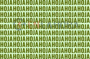 Test Visual: ¿Puedes encontrar la palabra diferente oculta en la imagen en menos de 5 segundos?