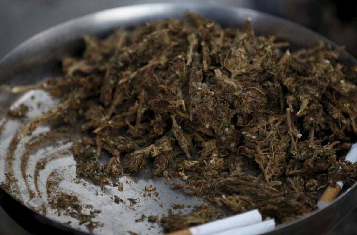 Por consumir marihuana sintética: 35 personas son hospitalizadas con graves hemorragias