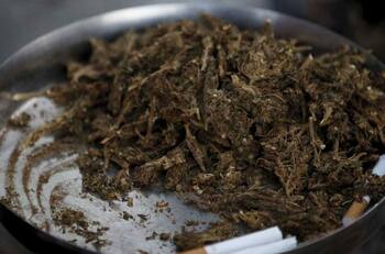 Por consumir marihuana sintética: 35 personas son hospitalizadas con graves hemorragias