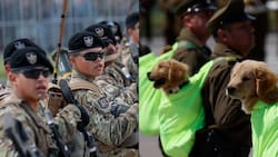 Parada Militar 2025: ¿A qué hora comienza y qué canales la transmiten?