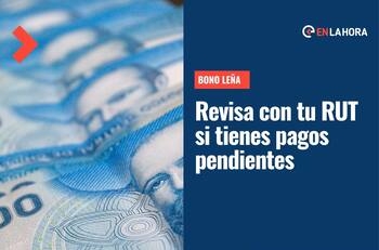 Bono Leña: Consulta con tu RUT si tienes pagos pendientes de esta ayuda para enfrentar el invierno