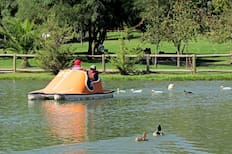 Tiene una laguna de 7.000 m² y ofrece paseos en bote: este parque es un pulmón verde de la RM y se puede visitar por solo $500