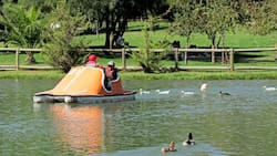 Tiene una laguna de 7.000 m² y ofrece paseos en bote: este parque es un pulmón verde de la RM y se puede visitar por solo $500