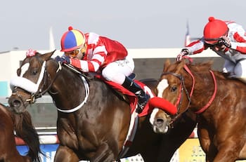 Brote de coronavirus en el Hipódromo Chile preocupa a las autoridades
