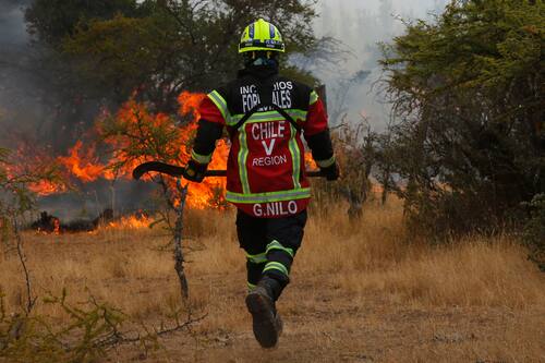 De esta forma puedes comprar tu SOAP a $1.490 y apoyar a Bomberos de Chile