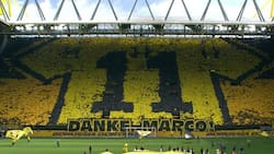 VIDEO | El espectacular mosaico que montaron los hinchas del Borussia Dortmund para despedir a Marco Reus