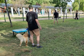 Este parque canino gratuito de Maipú es ideal para salir a disfrutar con tu mascota este fin de semana