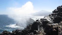 El pulmón costero a 2 horas de Santiago que tiene un geyser natural, fósiles marinos y es ideal para visitar en otoño