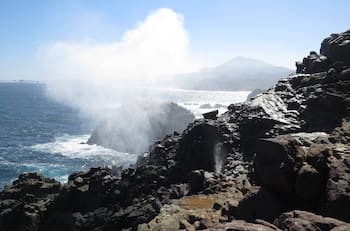 El pulmón costero a 2 horas de Santiago que tiene un geyser natural, fósiles marinos y es ideal para visitar en otoño