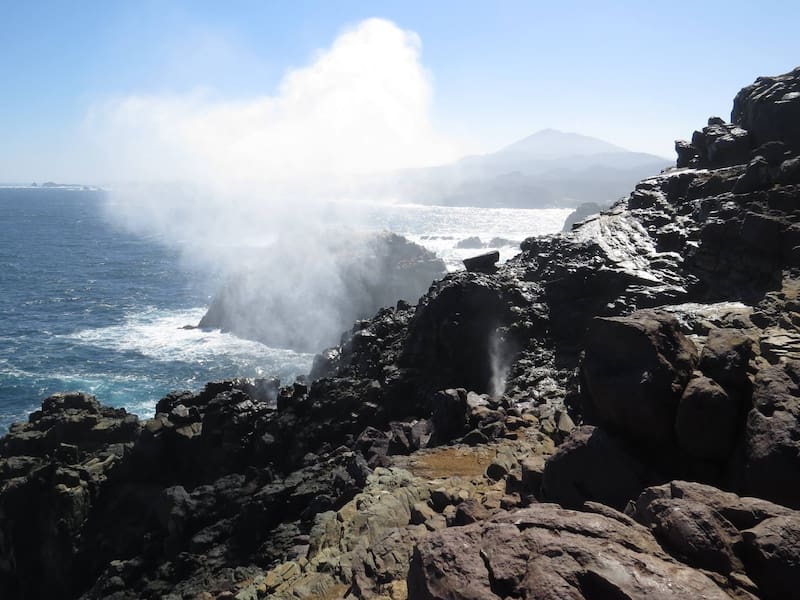 Este bioparque ofrece una de las caminatas más espectaculares de Chile central. Foto: reservapuquen.cl