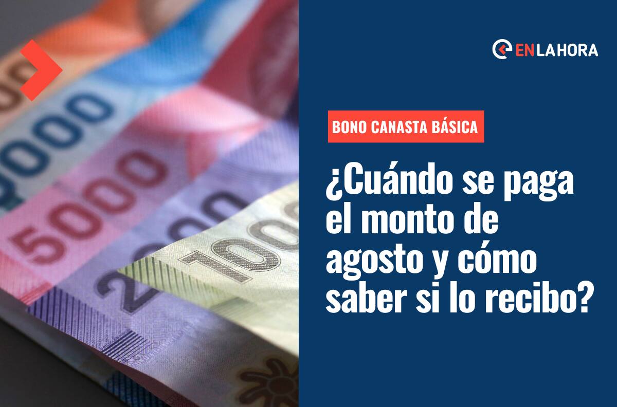 Bono Canasta Básica: Revisa la fecha de pago de agosto y consulta con tu RUT si eres beneficiaria