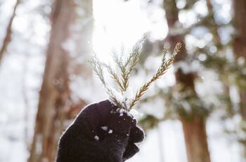 ¿Cuándo es el solsticio de invierno este 2025?: será el día más corto del año