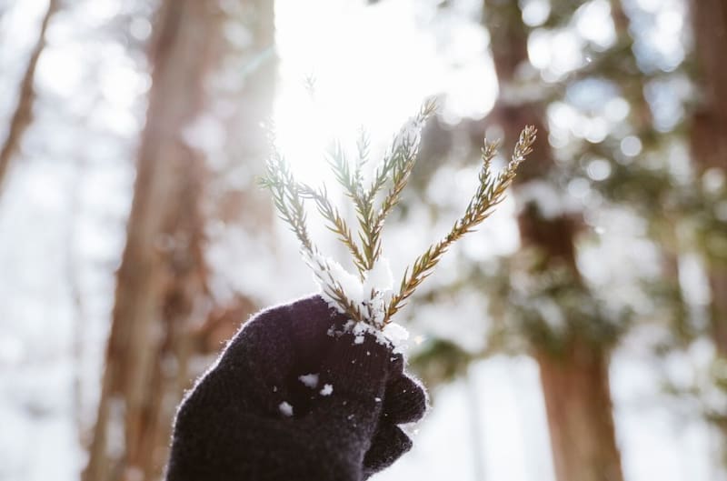 Durante este fenómeno se registra el día con menos luz del año.