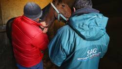 SAG publica nuevas ofertas de trabajo con sueldos desde $823.000 hasta $1.200.000