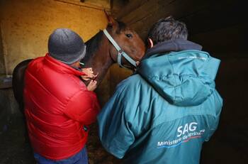 SAG publica nuevas ofertas de trabajo con sueldos desde $823.000 hasta $1.200.000