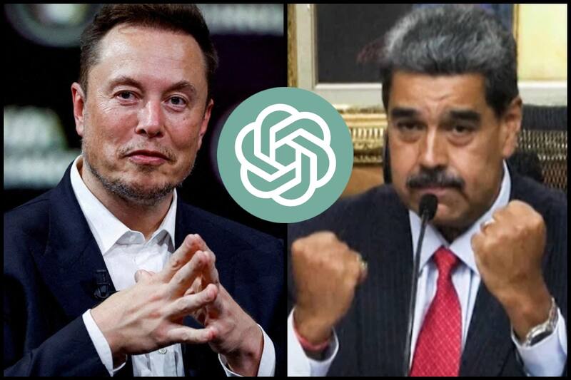 ¿Quién ganaría el combate?