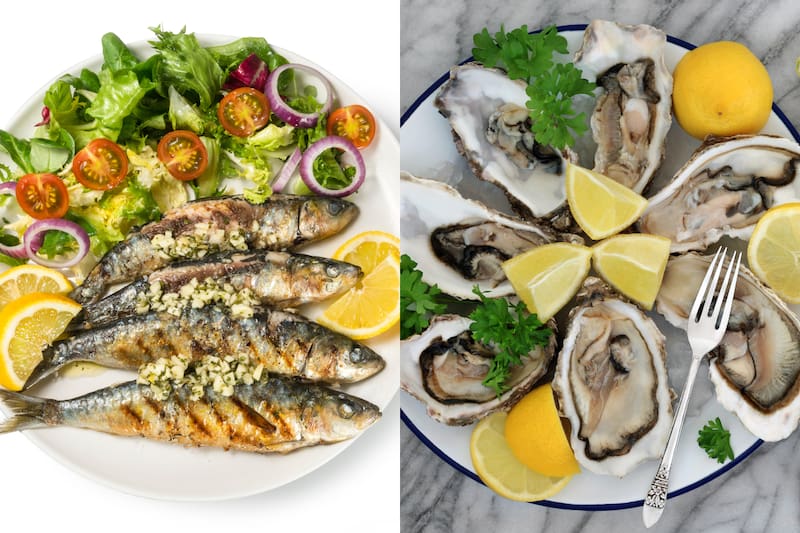 Descubre cuáles son los alimentos recomendados por Harvard.