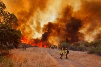 Incendios forestales: Revisa el estado de los focos que siguen activos en el centro y sur del país