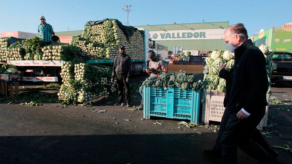 Walker en Lo Valledor: "Estamos bien abastecidos y hay estabilidad de precios"