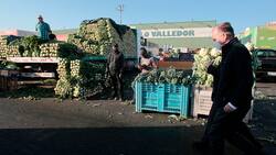 Walker en Lo Valledor: "Estamos bien abastecidos y hay estabilidad de precios"