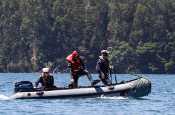 Estaba desaparecido: Hallan sin vida a menor de 12 años que cayó al río Imperial