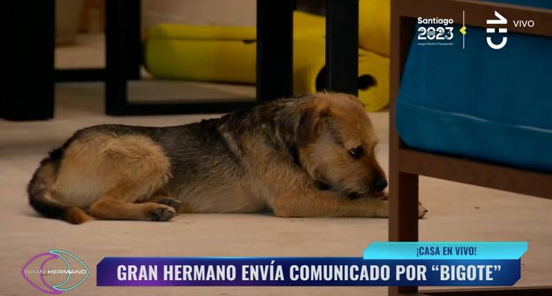 Créditos: Pantallazo CHV