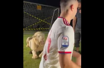 VIDEO | Casi se lo "come" un león: Ex figura de la Roma pasó el susto de su vida en presentación