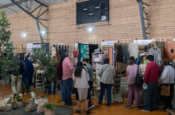 Feria Ranco Diseño 2023: Conoce cuándo es y los stands que podrás visitar