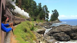 Tren del Recuerdo alista su último viaje a la playa de este 2025: Fecha, itinerario y valor de los pasajes