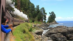 Tren del Recuerdo ofrece los últimos viajes del verano desde Santiago a San Antonio: fechas de salida y precio de los pasajes