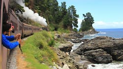 Tren del Recuerdo celebrará el Día del Padre con tres viajes especiales a la playa este domingo