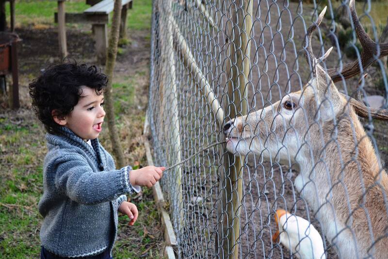 El lugar también ofrece la posibilidad de interactuar con animales. Créditos: Laguna Esmeralda.
