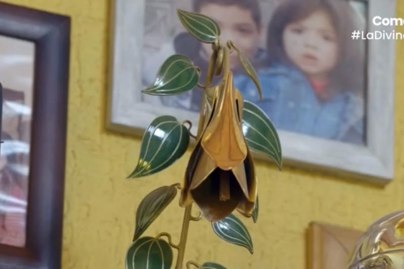 cambió totalmente la forma de su premio.