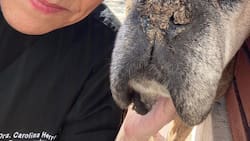 “Ha sido mi sostén emocional”: Doctora Carolina Herrera se despide de importante miembro de su familia