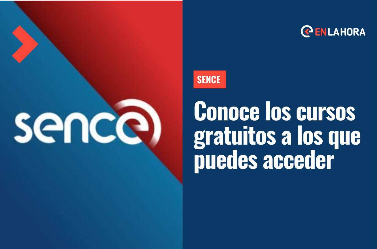 Sence: Conoce los cuatro diplomados gratuitos que ofrece el Servicio Nacional de Capacitación y Empleo
