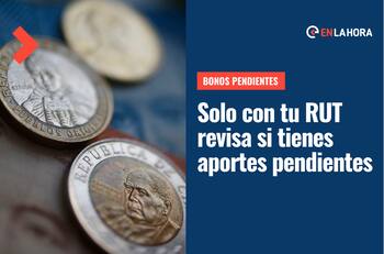 Bonos Pendientes: Revisa con tu RUT todos los beneficios monetarios que tienes pendientes de cobro