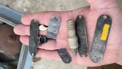 Hallan lote de placas identificatorias de perros en el estómago de un caimán gigante