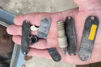 Hallan lote de placas identificatorias de perros en el estómago de un caimán gigante