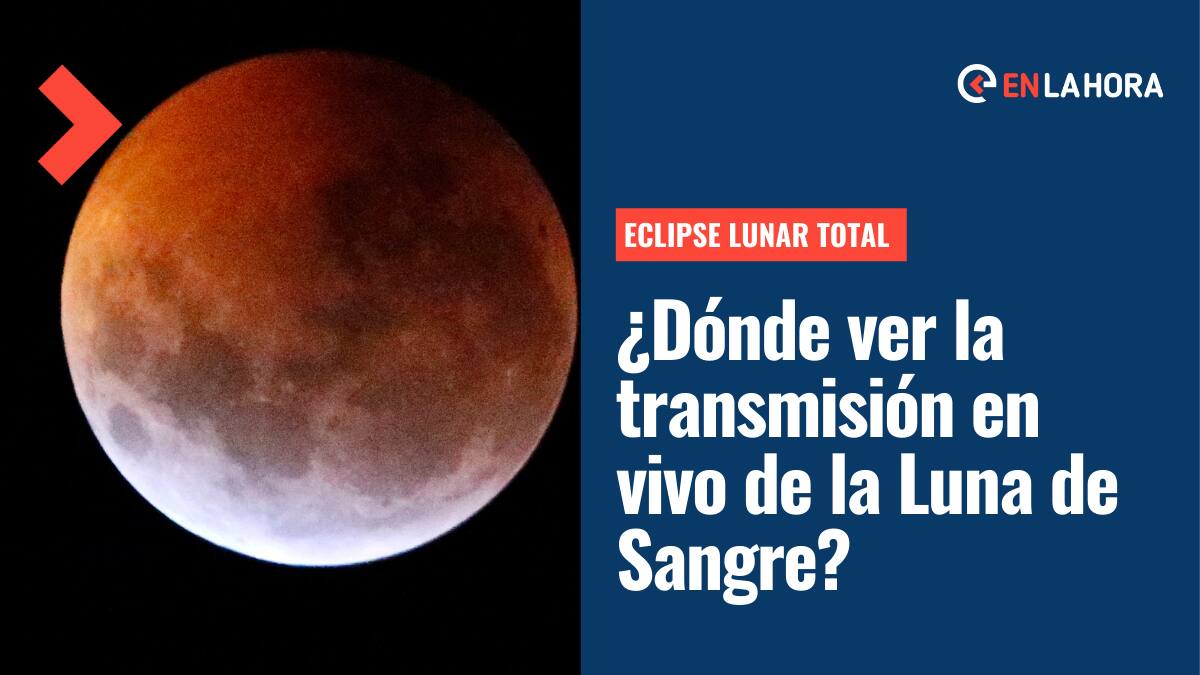 Eclipse Lunar Total: ¿Dónde ver la transmisión en vivo de la "Luna de Sangre" este domingo 15 de mayo?
