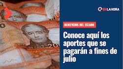 Beneficios del Estado: Conoce el listado de bonos y subsidios que entregarán su pago durante los últimos días de julio
