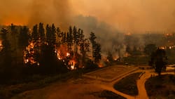 Incendios en Penco y Lirquén: Víctimas fatales confirmadas, zonas afectadas y toques de queda para HOY 19 de enero